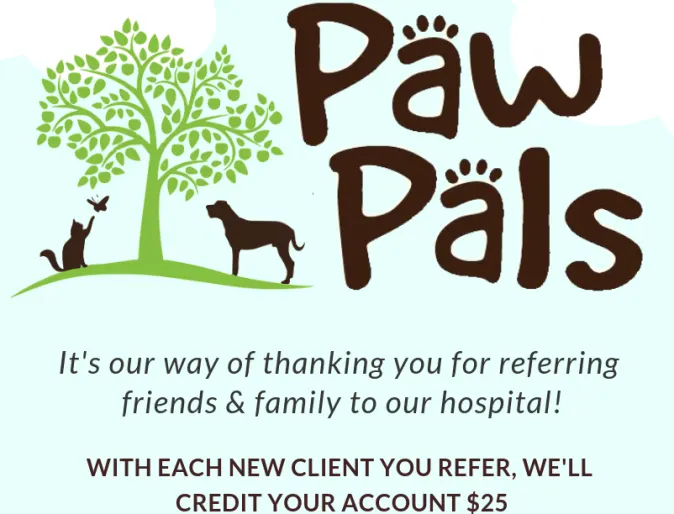 Paw Pals Referral Flyer that has Pampered Paws Animal Hospital's Cat, Tree and Dog logo on it.
