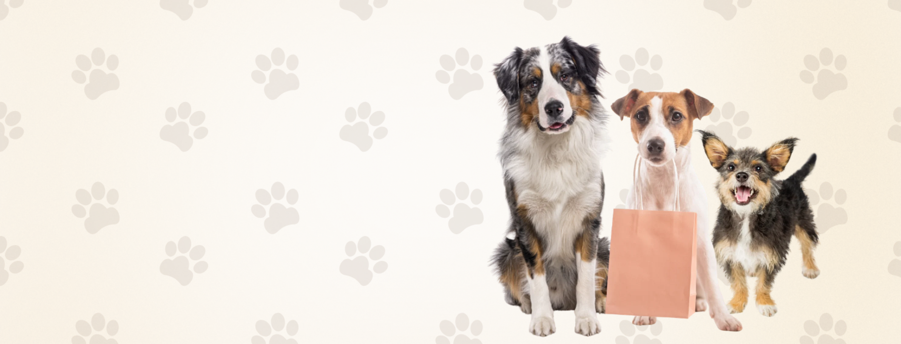 Dogs with shopping bag Dogs with shopping bag