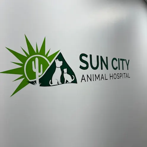 Hospital Sign Hospital Sign