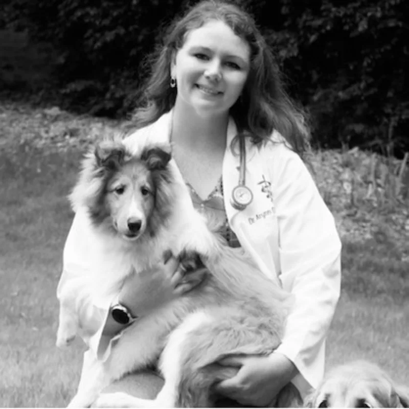 Dr. Arynn O'Kane Dr. Arynn O'Kane