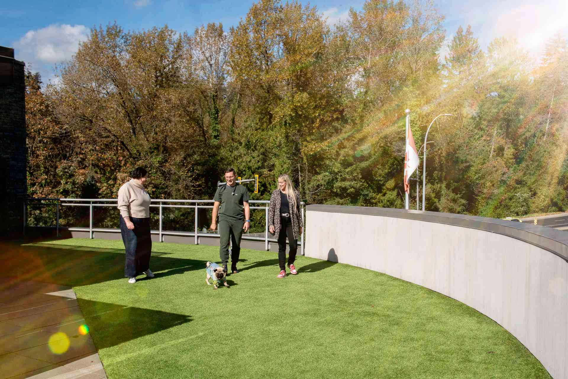 Staff members walking  with a pug in the grass