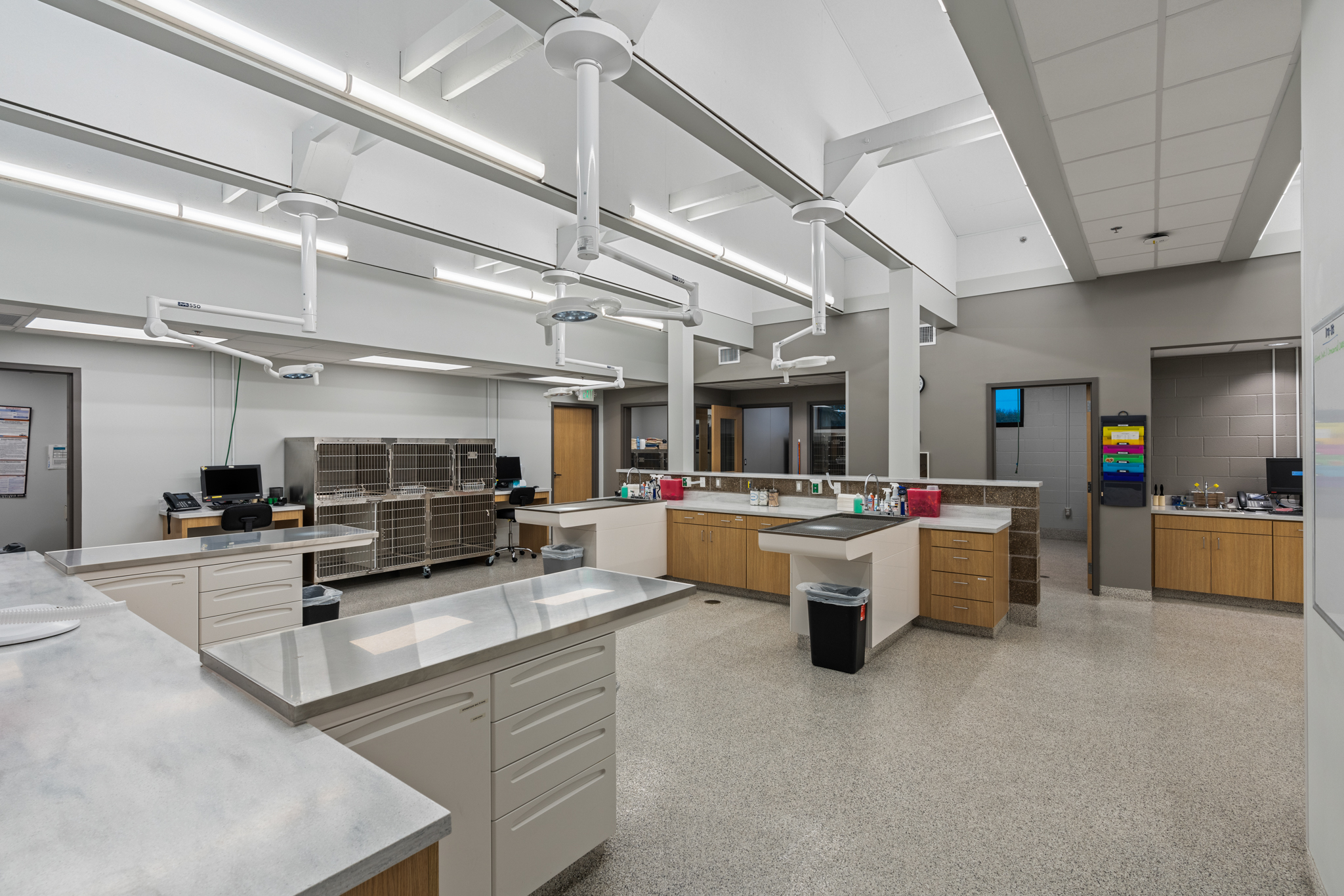 Treatment Area Alternate View