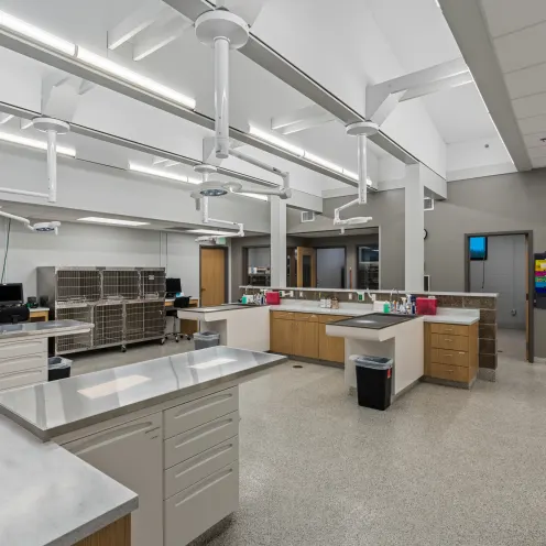 Treatment Area Alternate View Treatment Area Alternate View