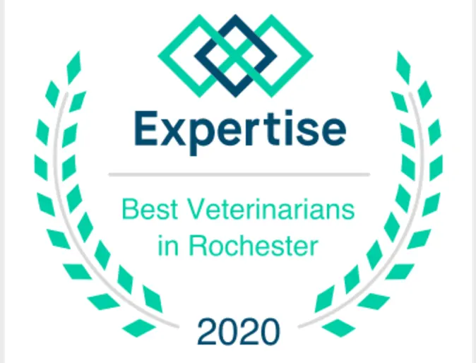 Macedon Veterinary Care 0214 - Best Vets Rochester 2020