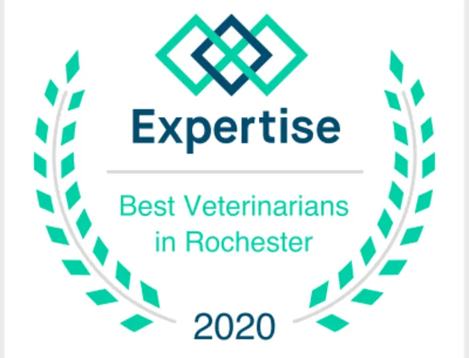 Macedon Veterinary Care 0214 - Best Vets Rochester 2020