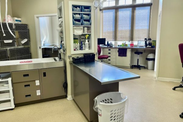 Exam Table inside Bracebridge Animal Hospital