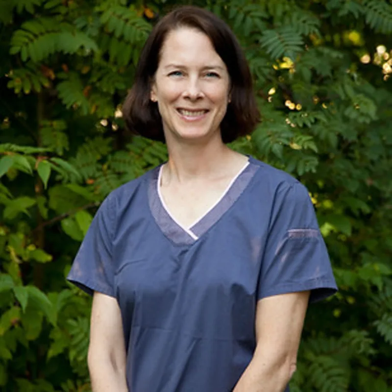 Dr. Andrea Studzinski  Dr. Andrea Studzinski