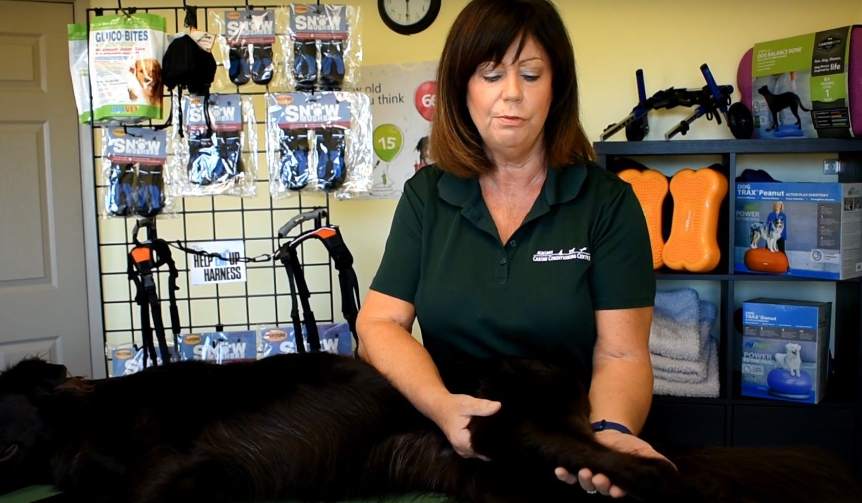 woman stretching out dog's hip