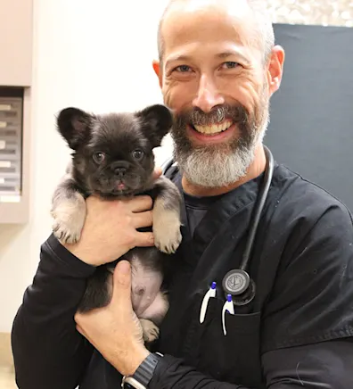 Dr. Eric Kane holding a dog in office Dr. Eric Kane holding a dog in office