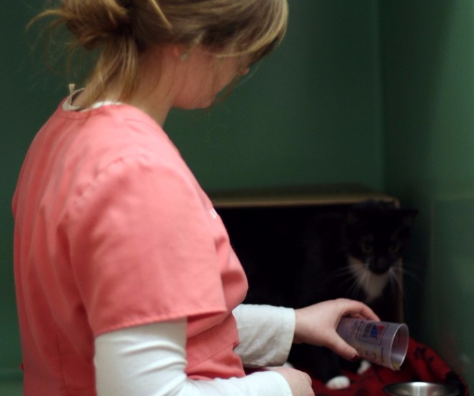 Warren Woods Veterinary Hospital Patient