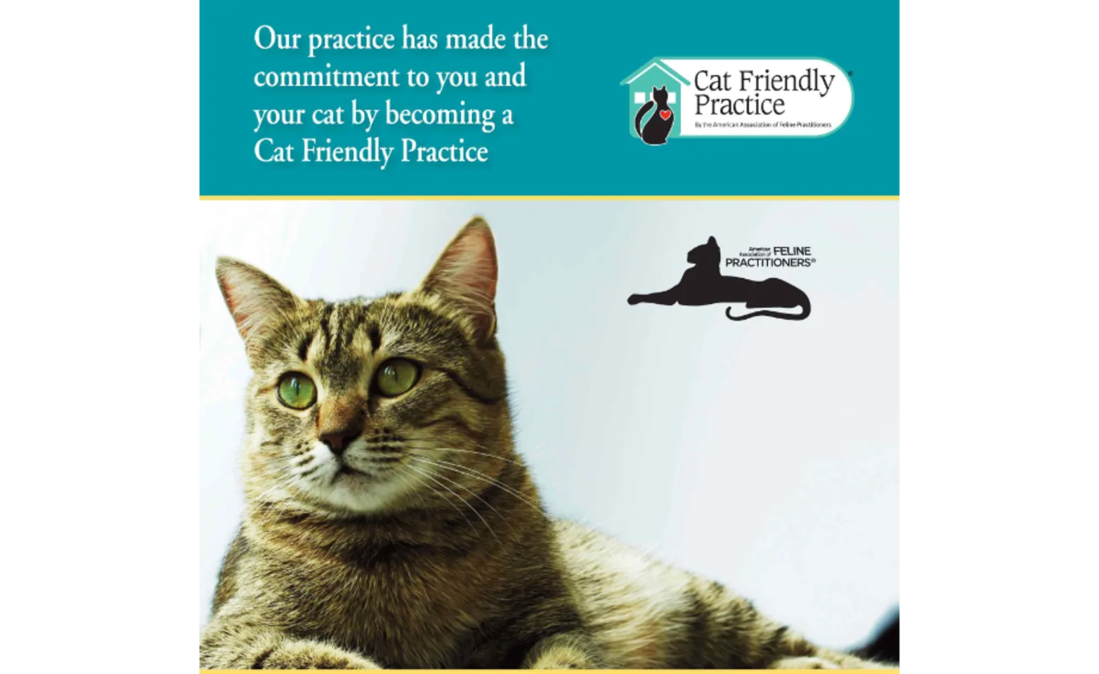 Cat Friendly logo Cat Friendly logo