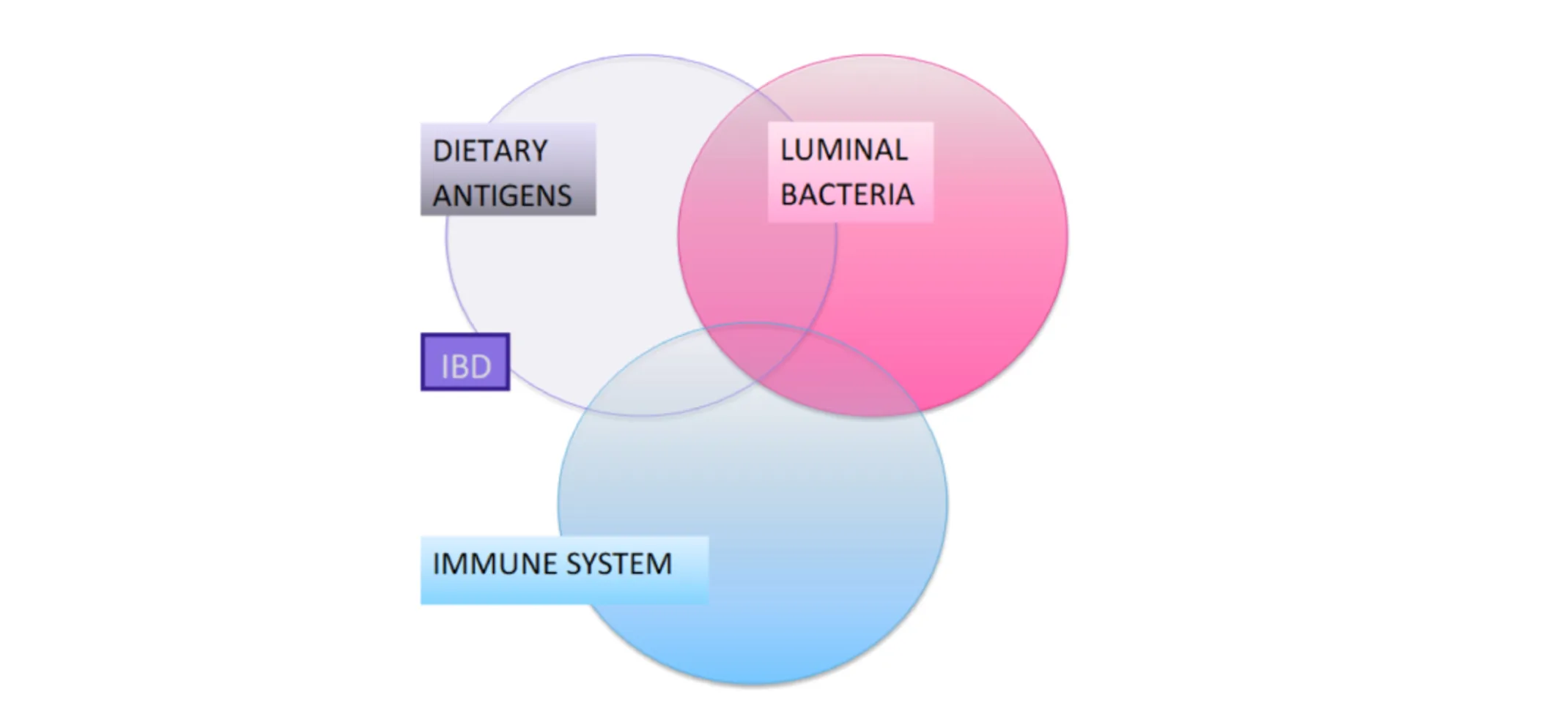 Inflammatory Bowel Disease Bubble Chart at Nashville Veterinary Specialists Inflammatory Bowel Disease Bubble Chart at Nashville Veterinary Specialists