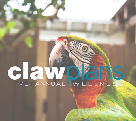 CLAW plans CLAW plans