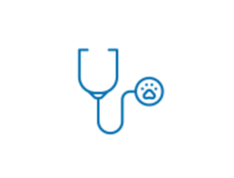 Stethoscope Icon