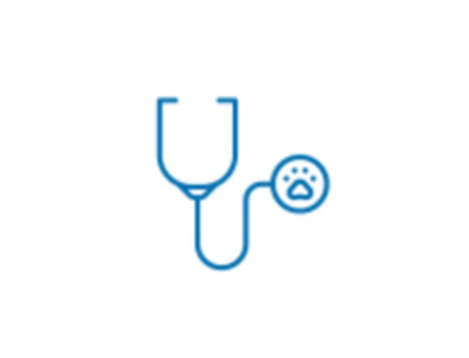 Stethoscope Icon Stethoscope Icon
