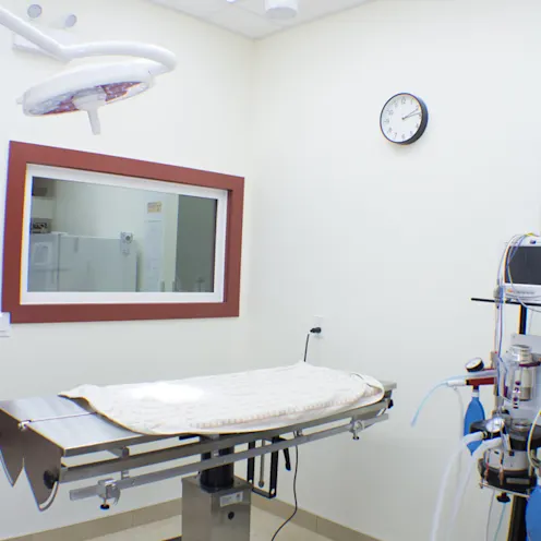 Surgery Room Surgery Room