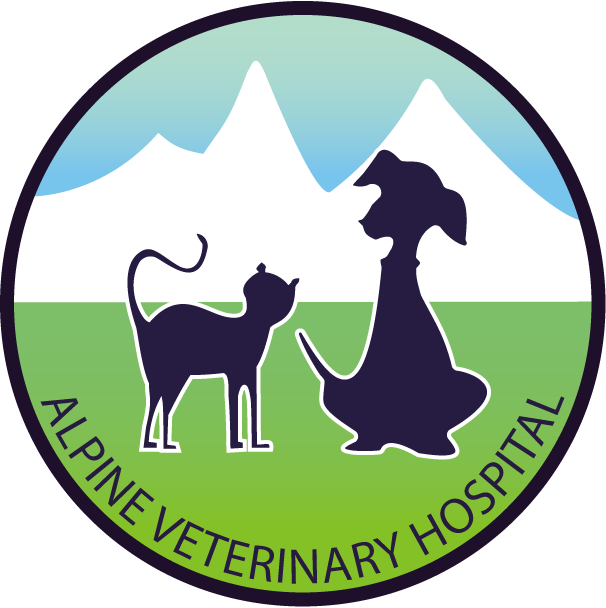 Vca alpine best sale animal hospital