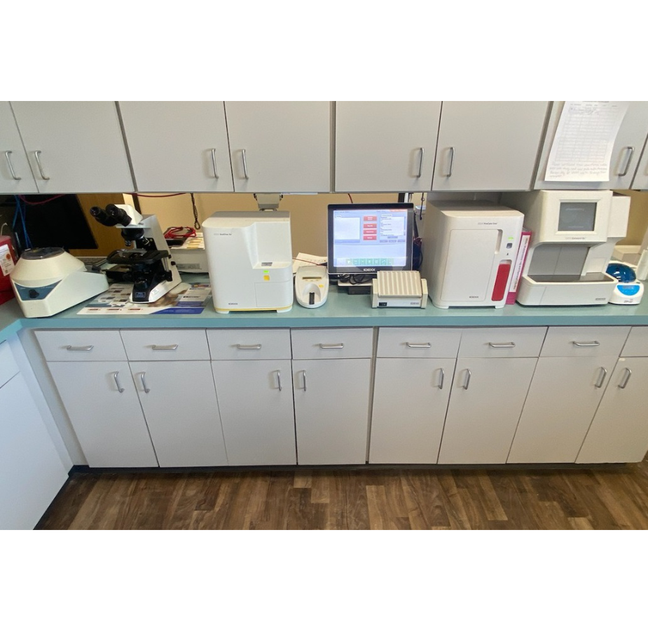 All City Pet Care East Lab Area