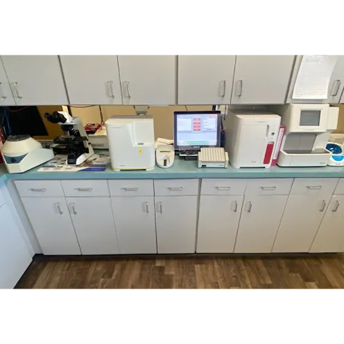 All City Pet Care East Lab Area All City Pet Care East Lab Area