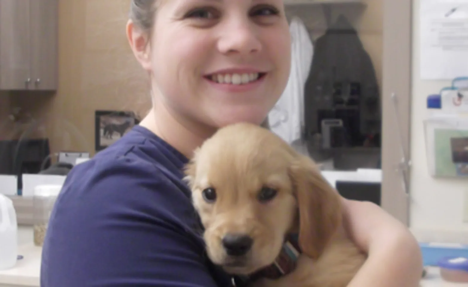 Staff holding puppy Staff holding puppy