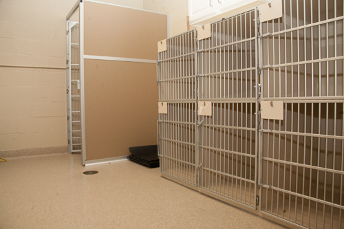 Hawthorne Park Animal Care Center Cat Medical Room