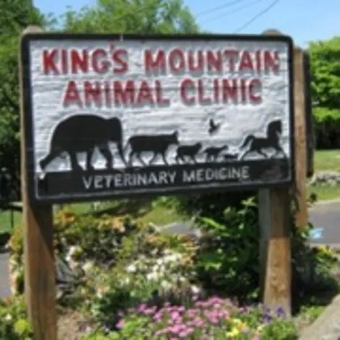 King's Mountain Animal Clinic front signage