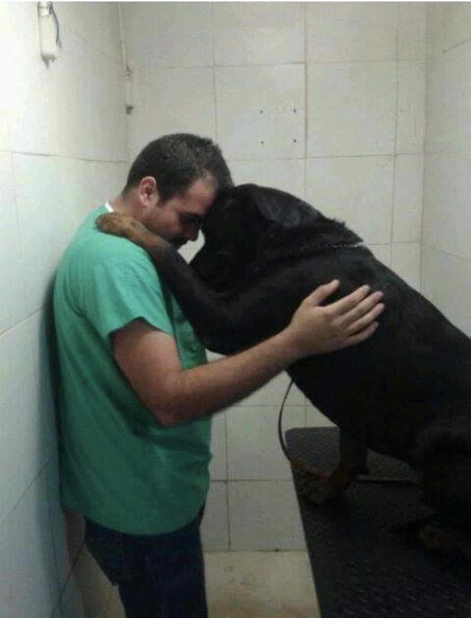 Staff member Antonio hugging large dog