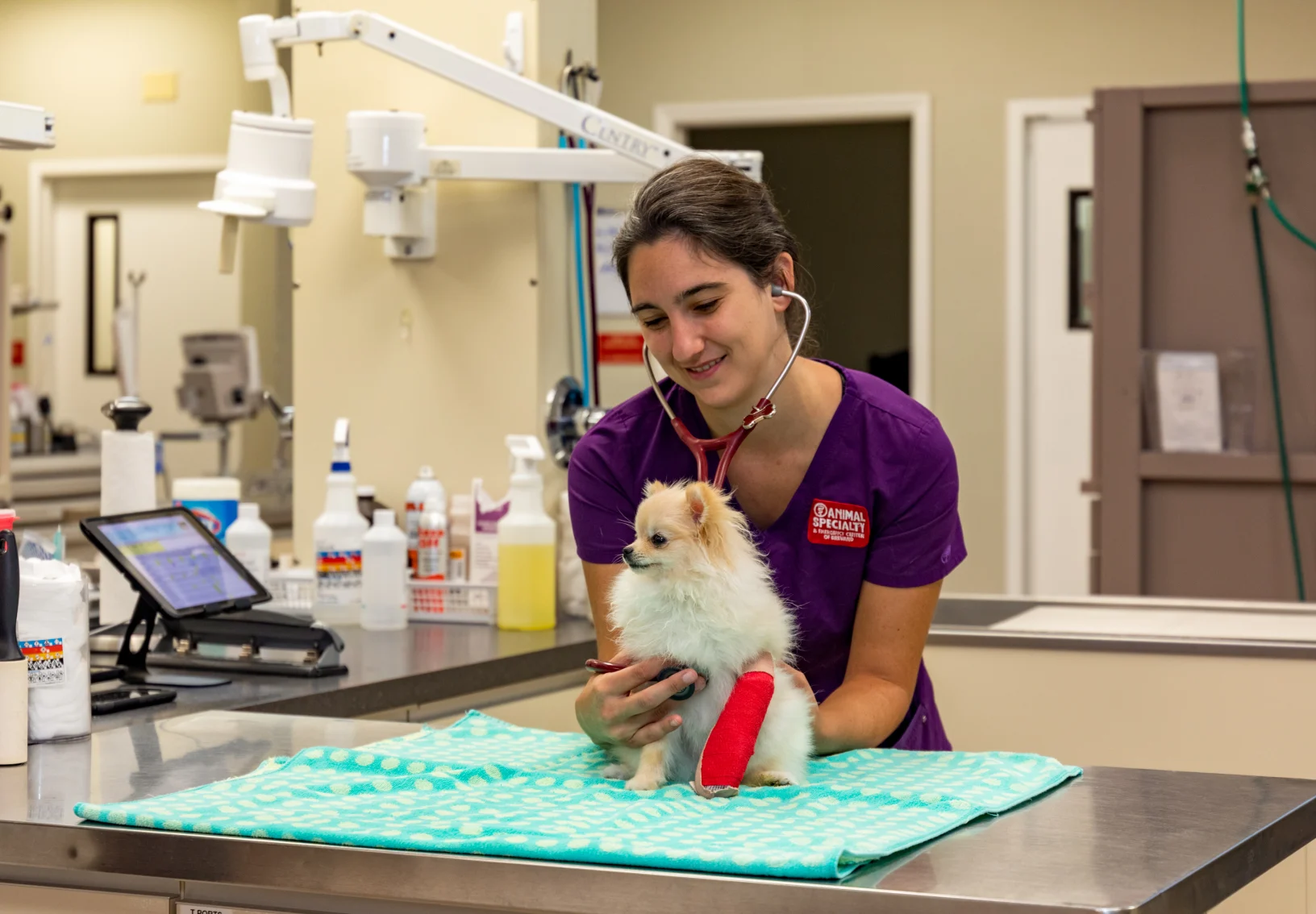 Staff with Dog with Cast on Paw at Animal Specialty & Emergency Center of Brevard