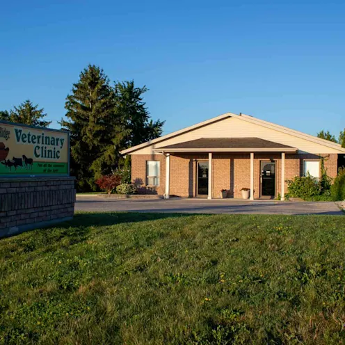 Outside View Outside View