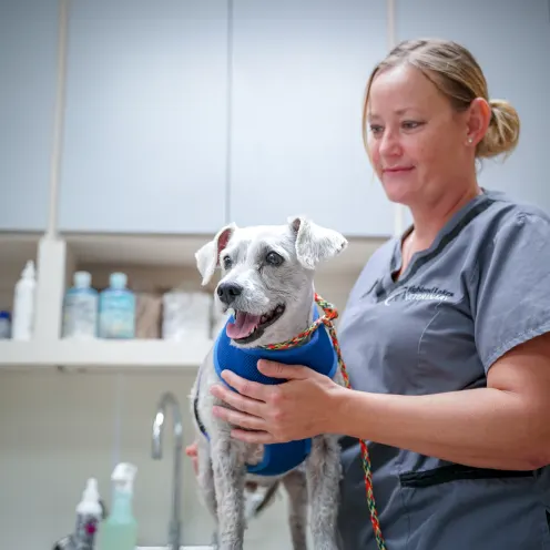 technician with dog