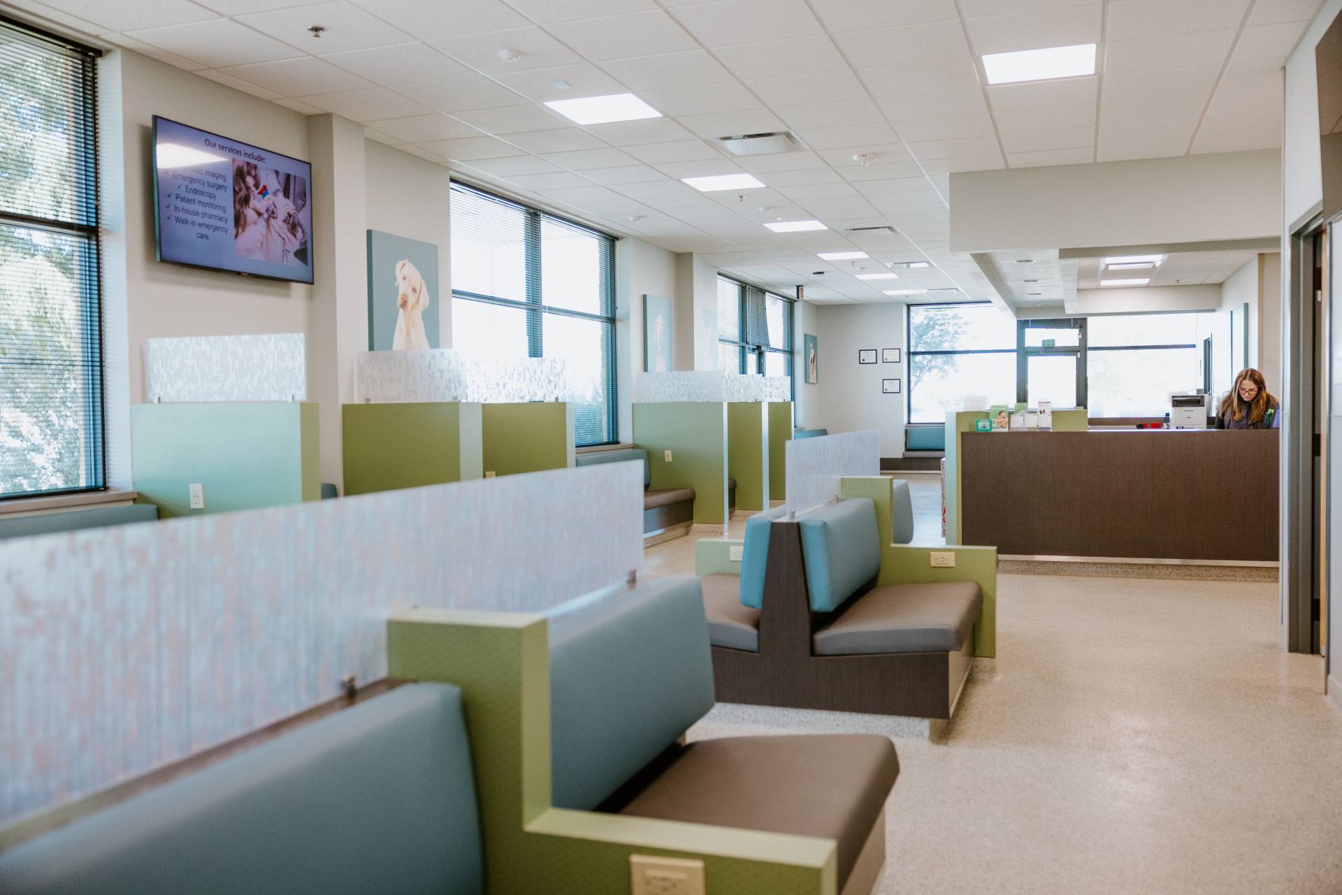 Animal hospital lobby featuring a green and blue seating area.