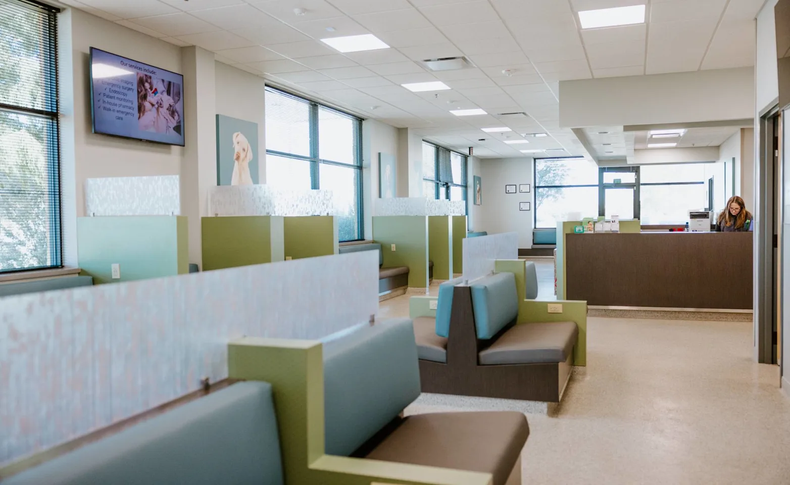 Animal hospital lobby featuring a green and blue seating area. Animal hospital lobby featuring a green and blue seating area.