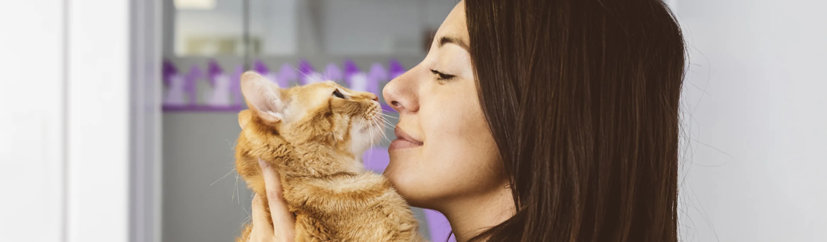 woman snuggle cat woman snuggle cat