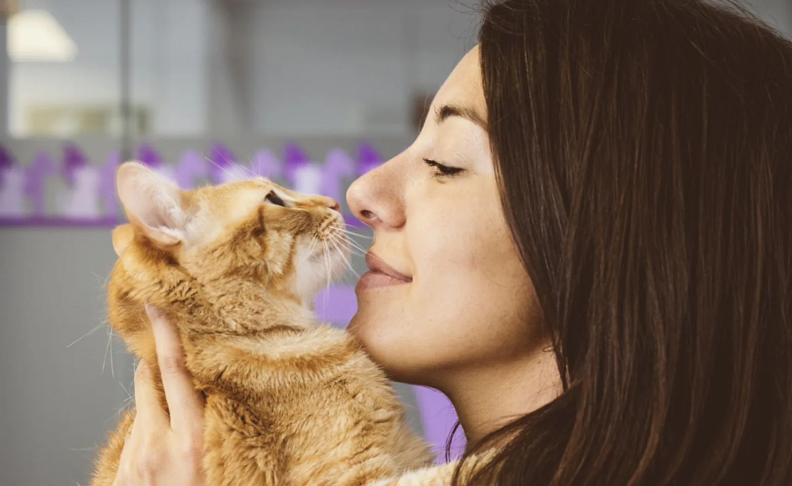 woman snuggle cat woman snuggle cat