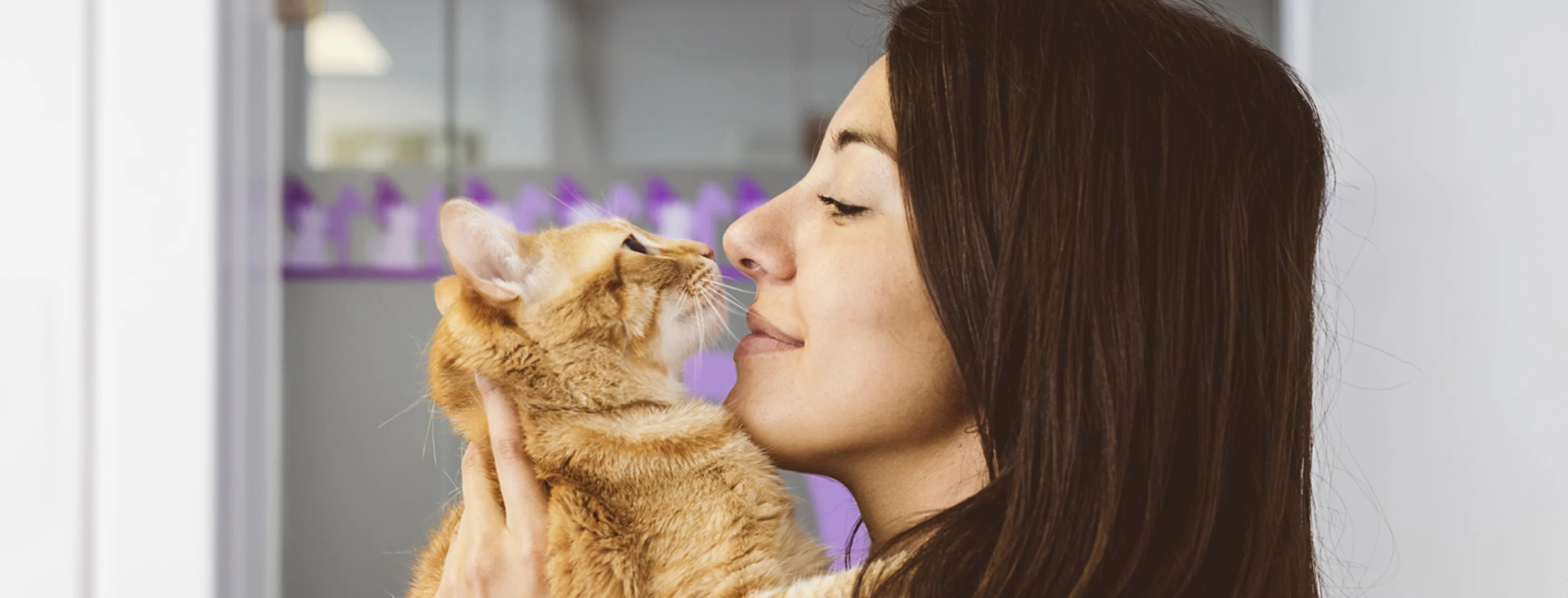 woman snuggle cat