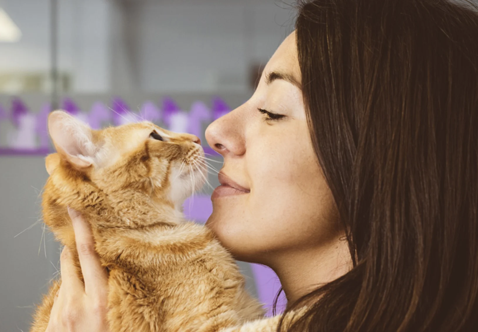 woman snuggle cat woman snuggle cat