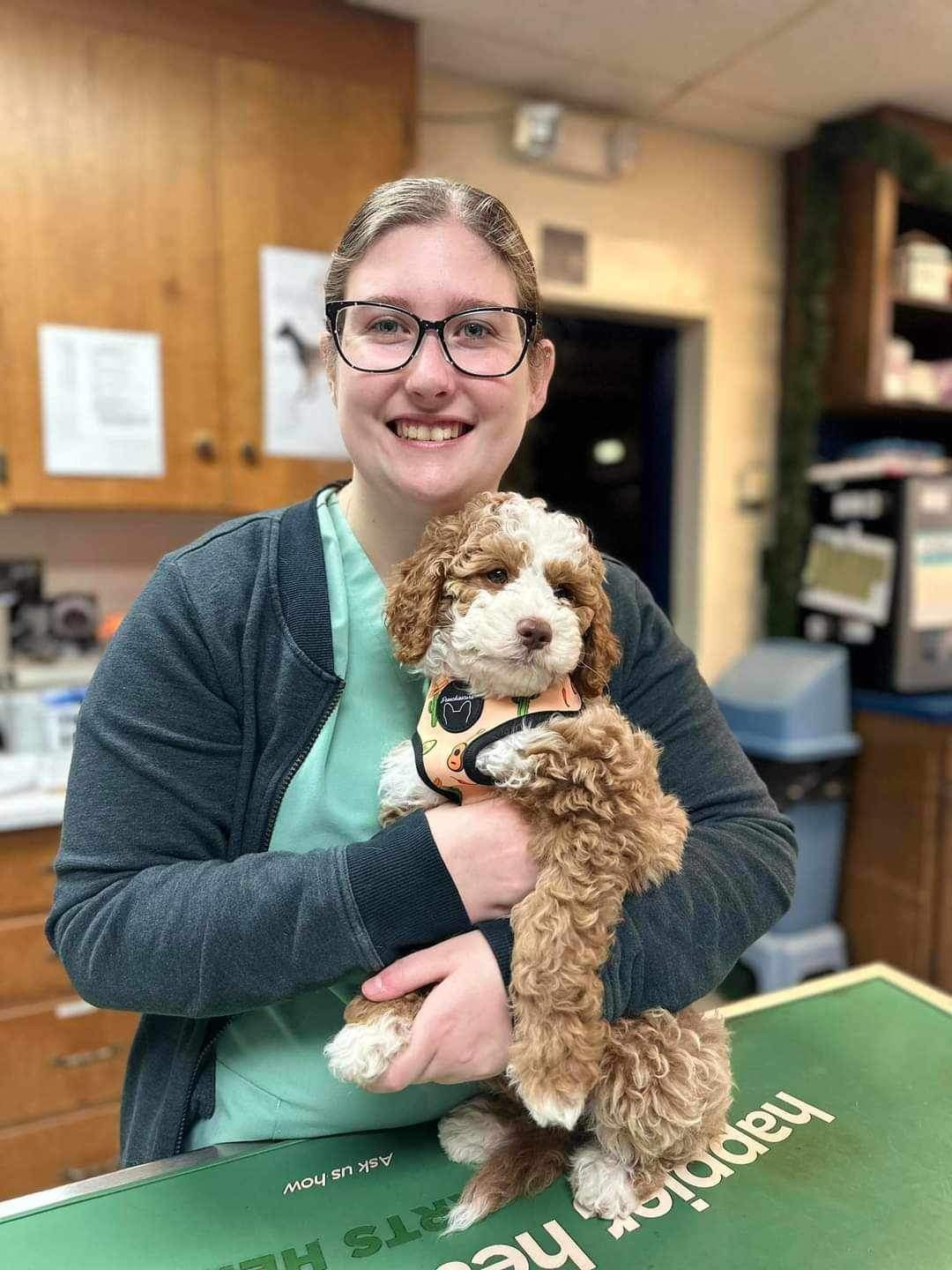 Staff member holding a brown and white dog