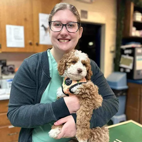 Staff member holding a brown and white dog Staff member holding a brown and white dog