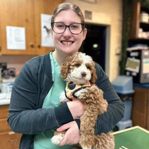 Staff member holding a brown and white dog