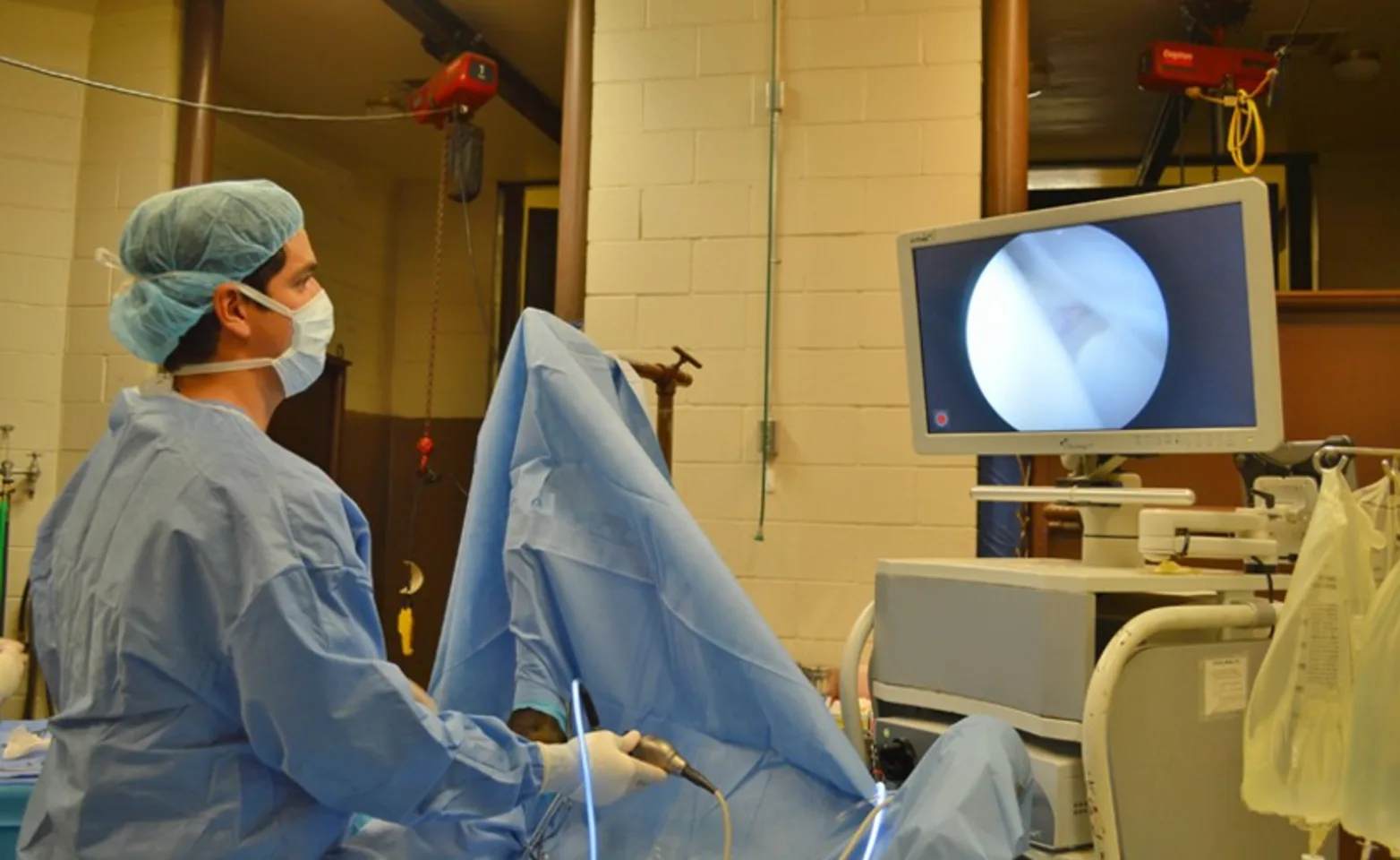 Photo of surgeon working on a horse 