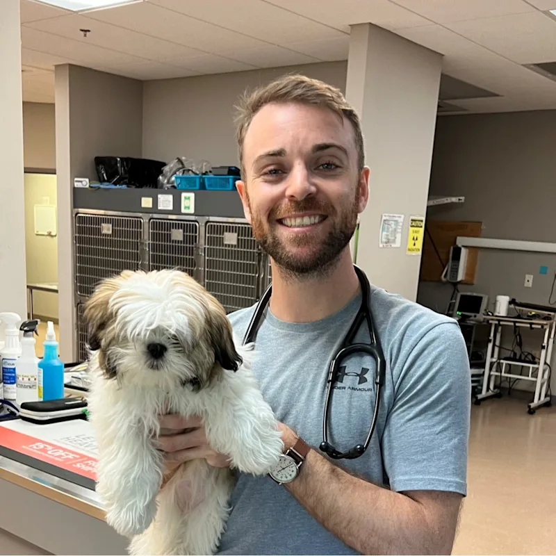 Dr. Patrick Robbins Dr. Patrick Robbins