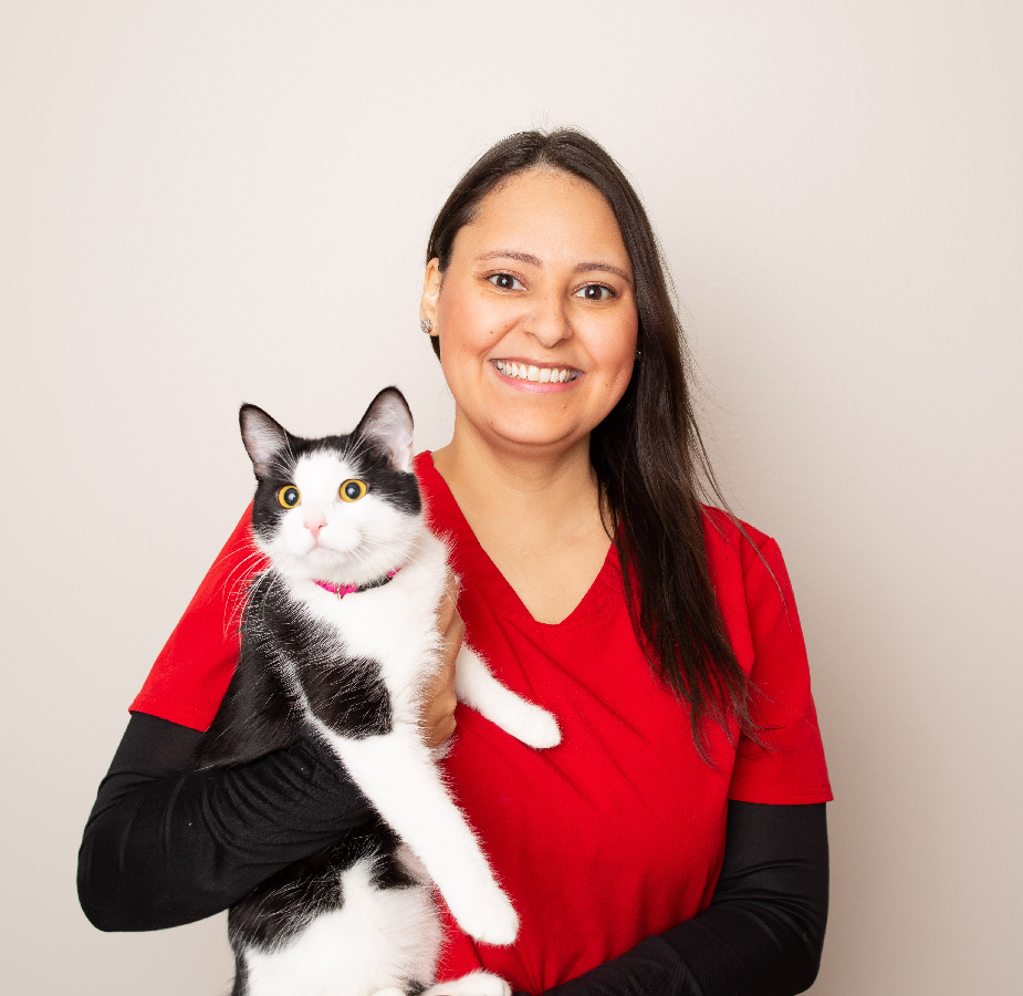 A Kindness Animal Hospital staff member with a cat