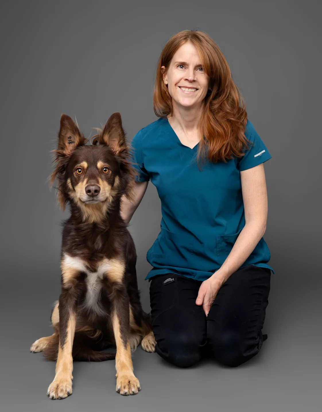 Pencil outline drawing of puppy Pencil outline drawing of puppy