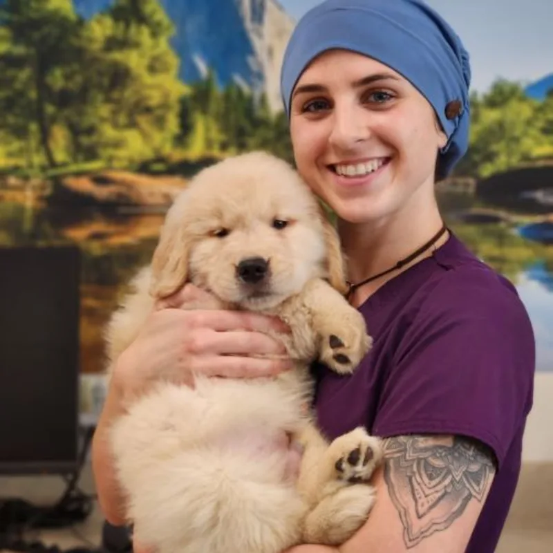 Jessica Trearchis, CVT Jessica Trearchis, CVT