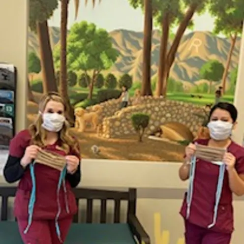 Veterinarians with masks on
