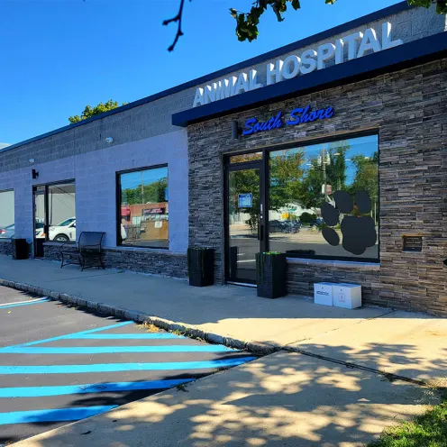 Exterior Image of South Shore Animal Hospital
