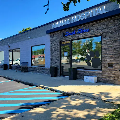 Exterior Image of South Shore Animal Hospital Exterior Image of South Shore Animal Hospital