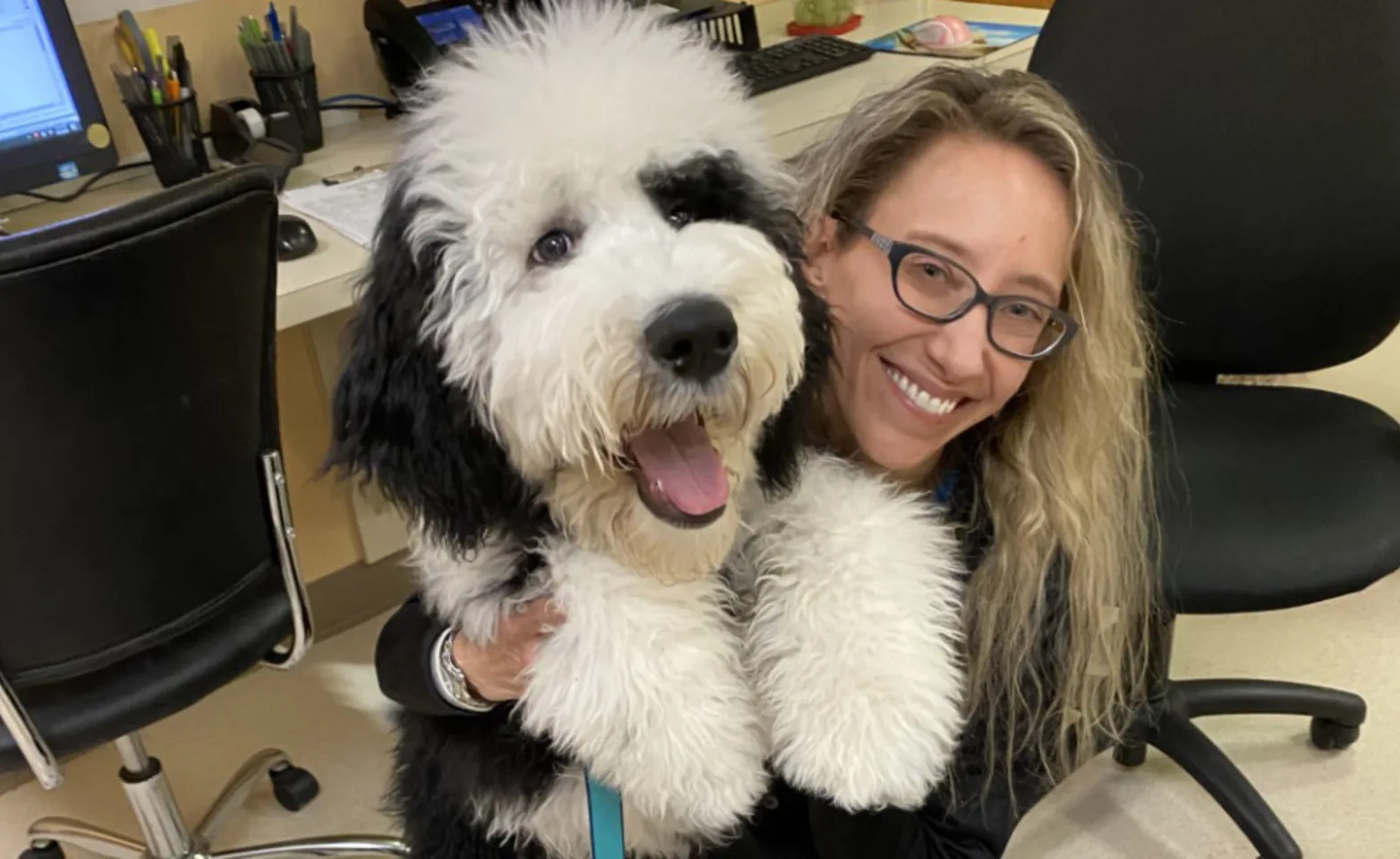 Fluffy B&W dog being held by a staff member