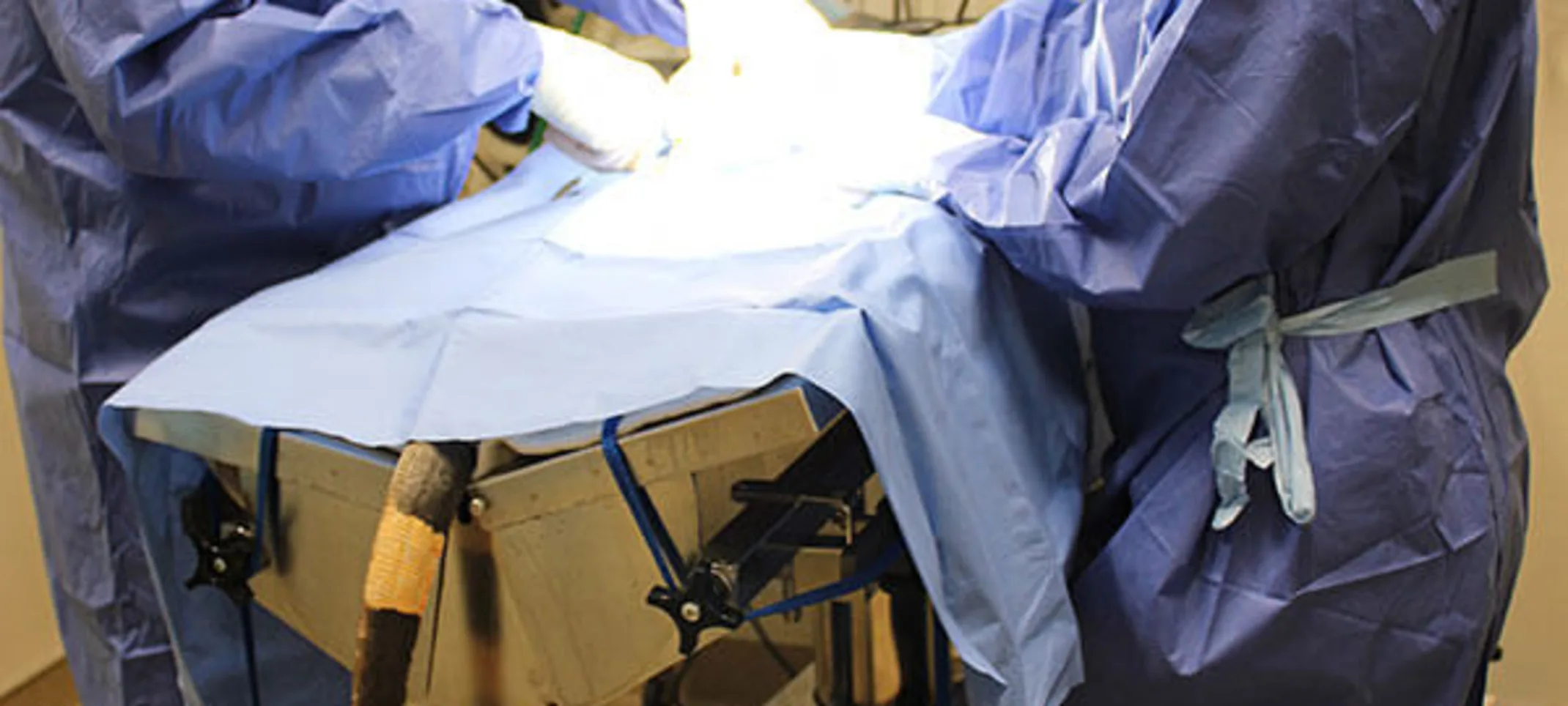 Two Conejo Valley Veterinary Hospital staff performing surgery on a patient