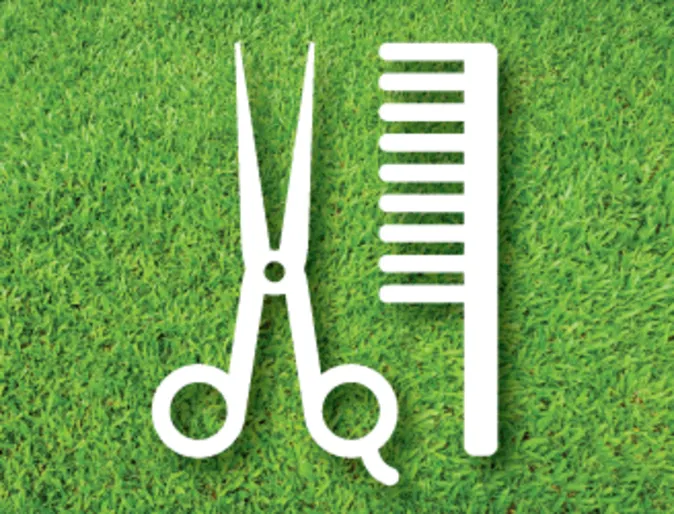Grooming brush icon in the grass Grooming brush icon in the grass